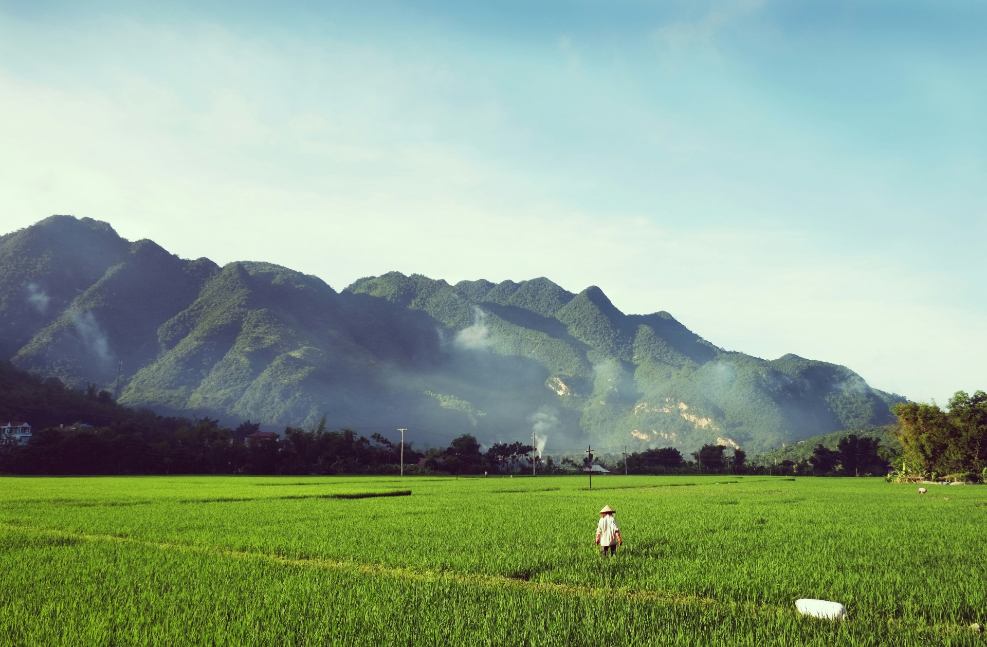 Contadino vietnamita al lavoro tra le risaie verdi con montagne avvolte nella foschia sullo sfondo — viaggio lento in Vietnam